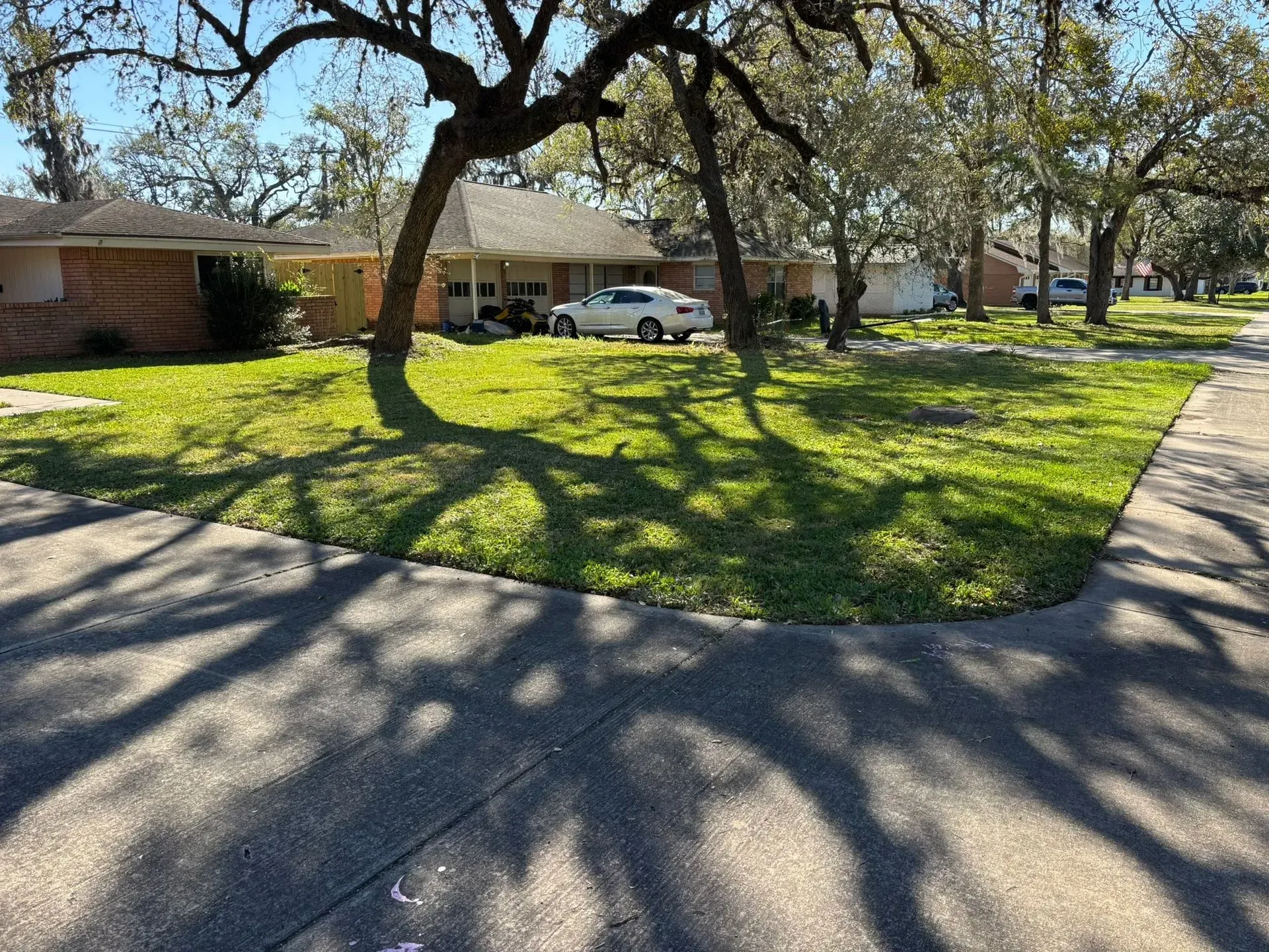 A suburban street corner with a house, car, and large trees casting shadows on the grass and sidewalk.