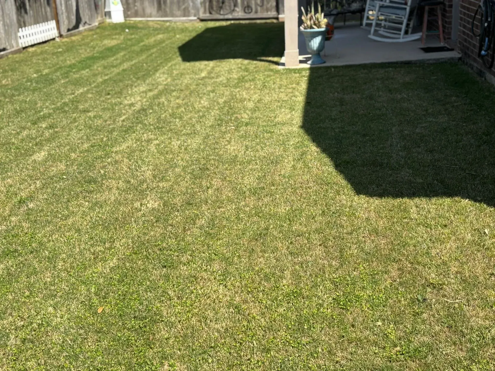 Lawn in a backyard, with a patio and fence in the background; partially shaded by a structure.