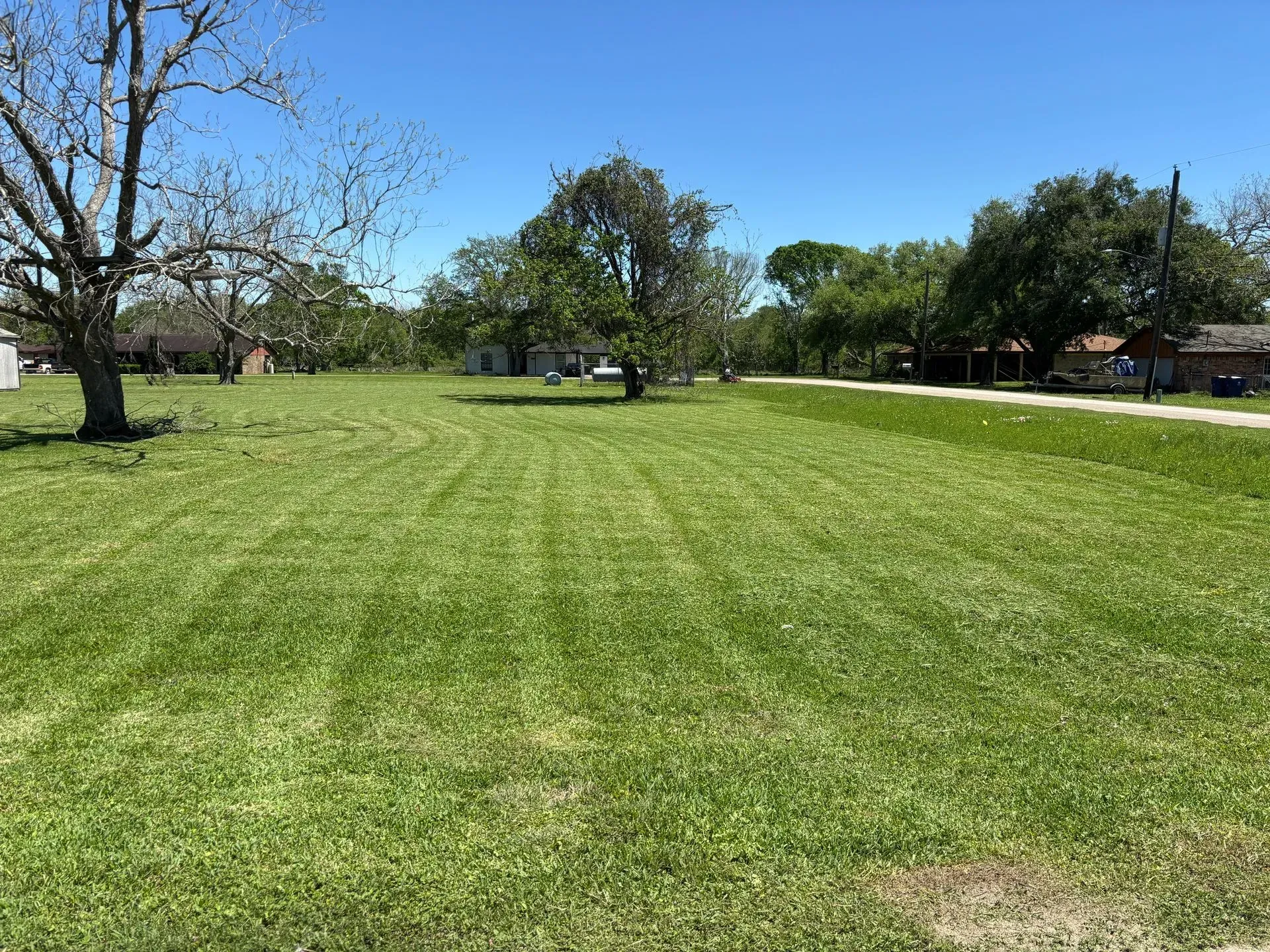 A large, grassy field on a sunny day. Several trees and houses are visible in the distance under a clear blue sky.
