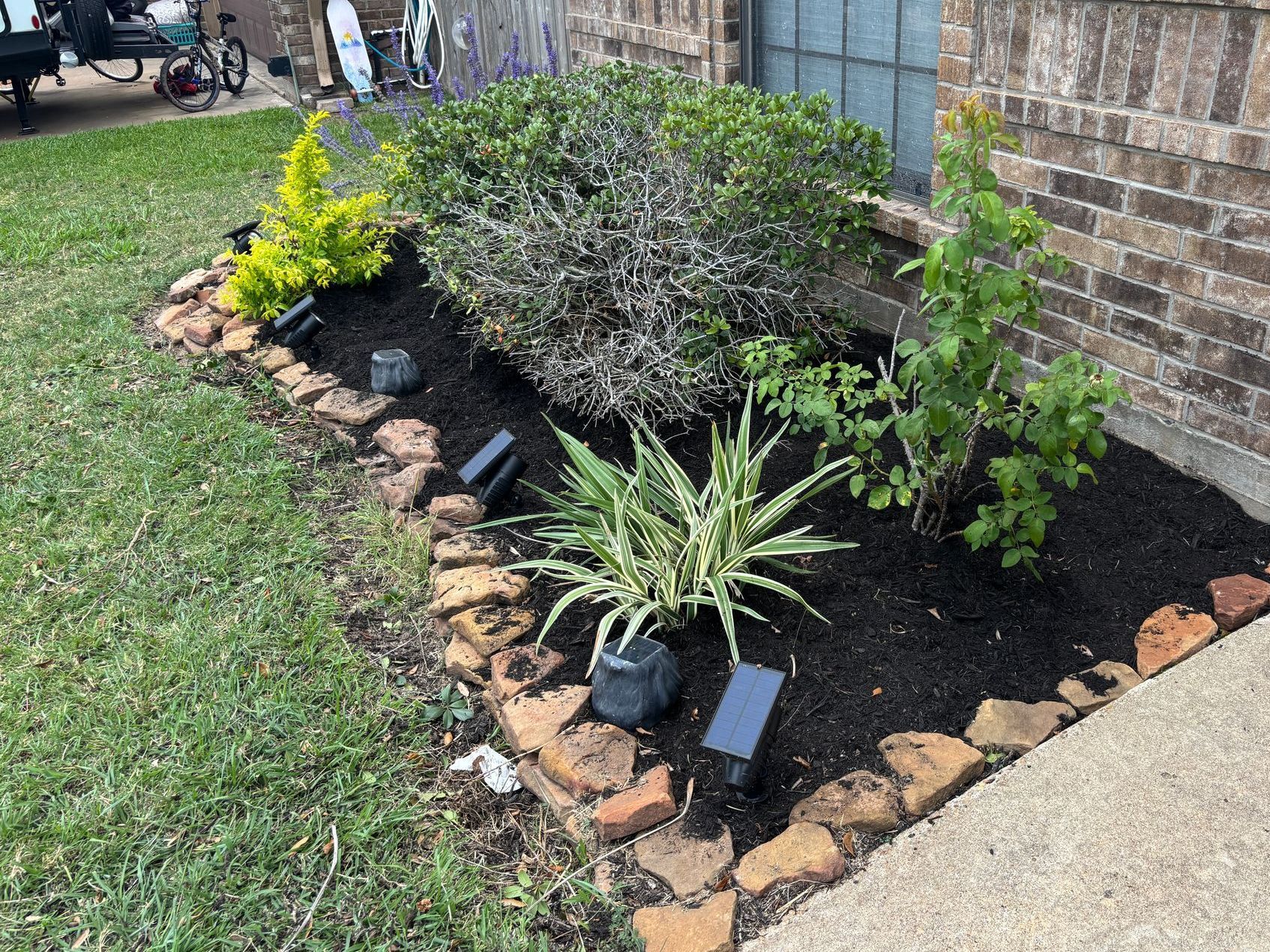 A well-landscaped flowerbed with varied green plants, dark mulch, and brick edging sits beside a brick building.