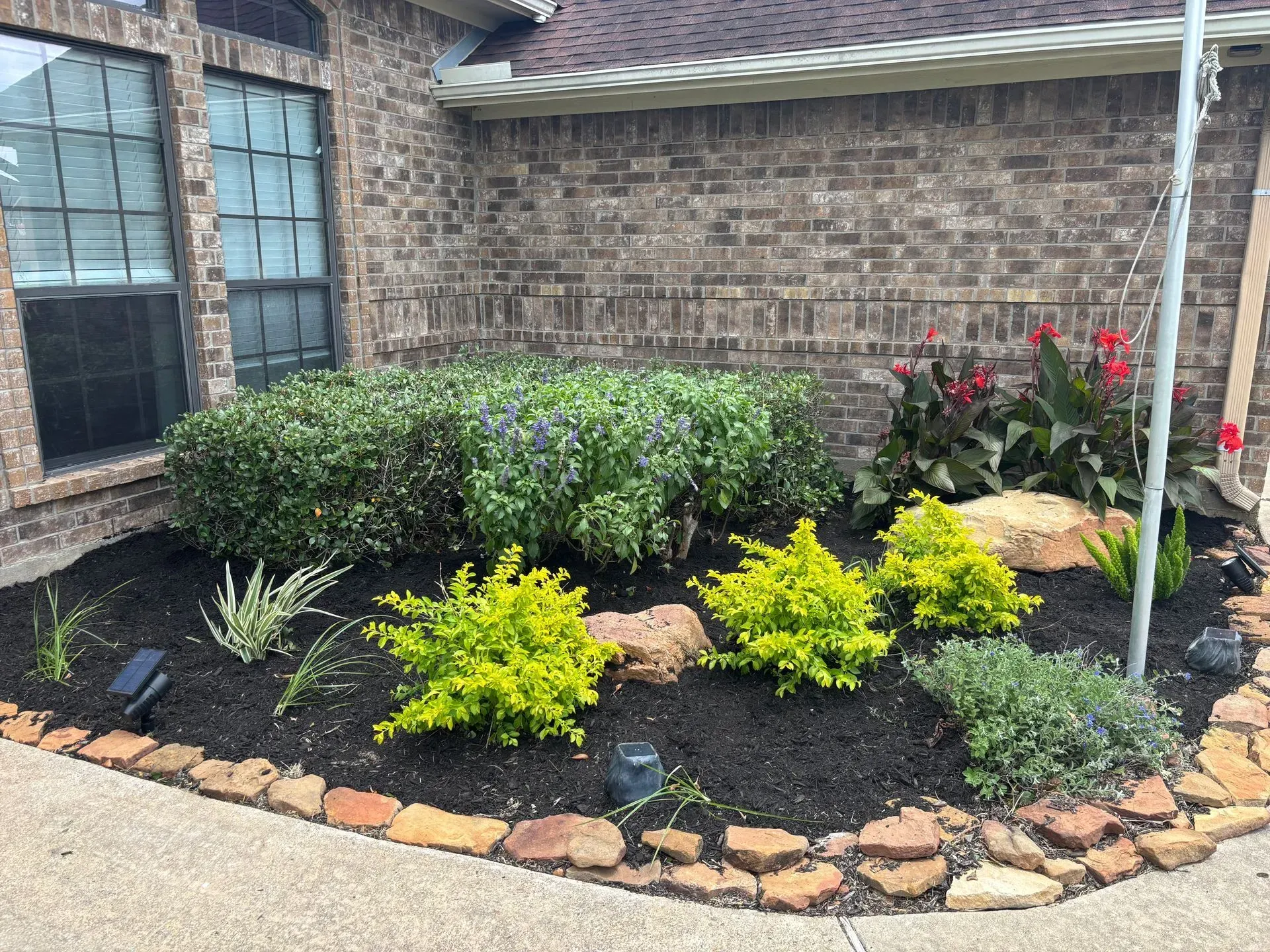 A well-landscaped garden bed in front of a brick house, featuring various shrubs and plants.