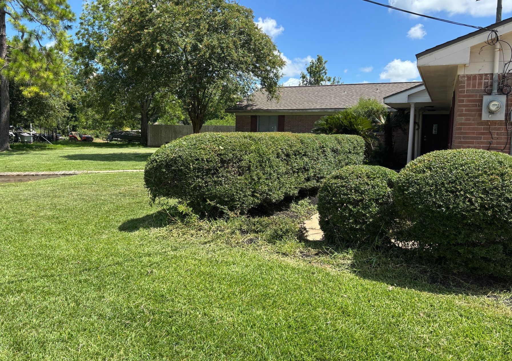 Green lawn with trimmed bushes in front of a brick house under a bright, sunny sky.