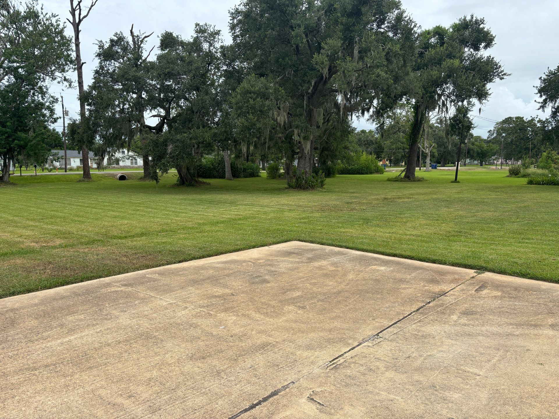 A grassy yard with trees in the background, viewed from a concrete patio on an overcast day.