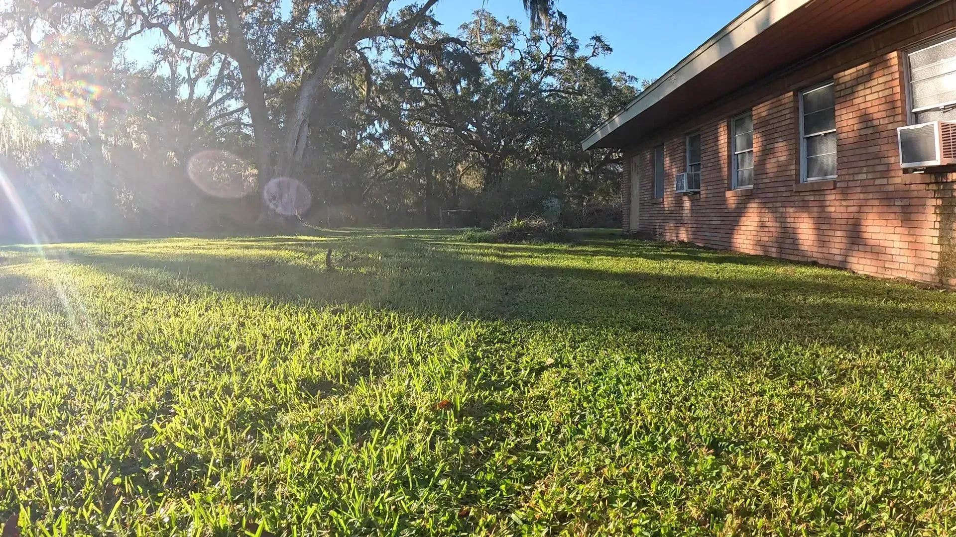 A grassy lawn bathed in sunlight next to a brick building, with trees in the background.