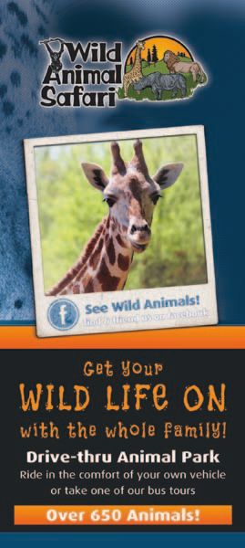 print and distribute brochure at lake