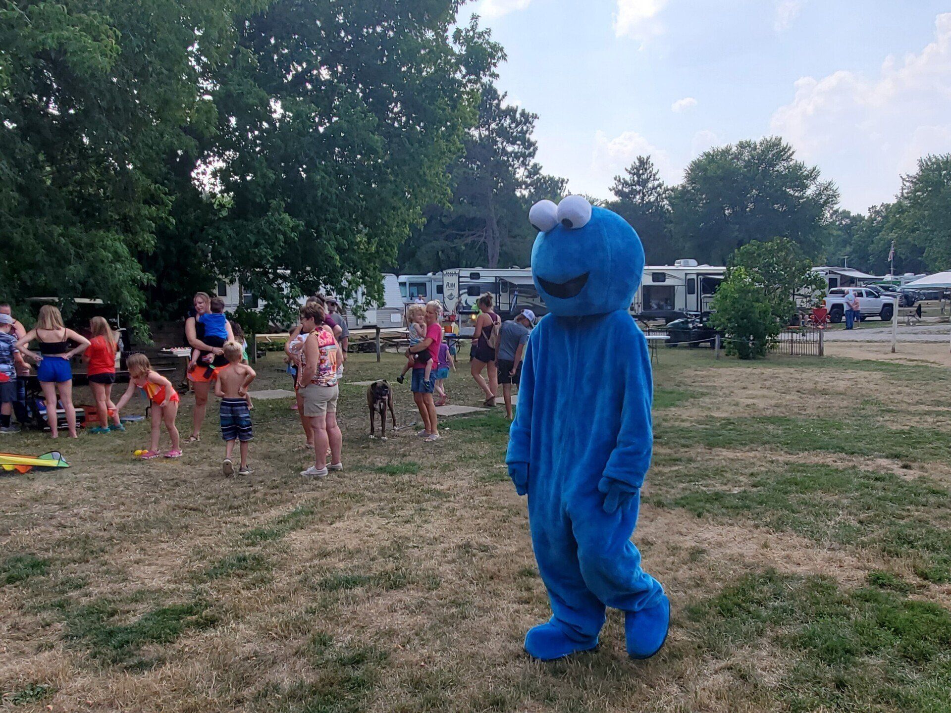 A person in a cookie monster costume is standing in a field.