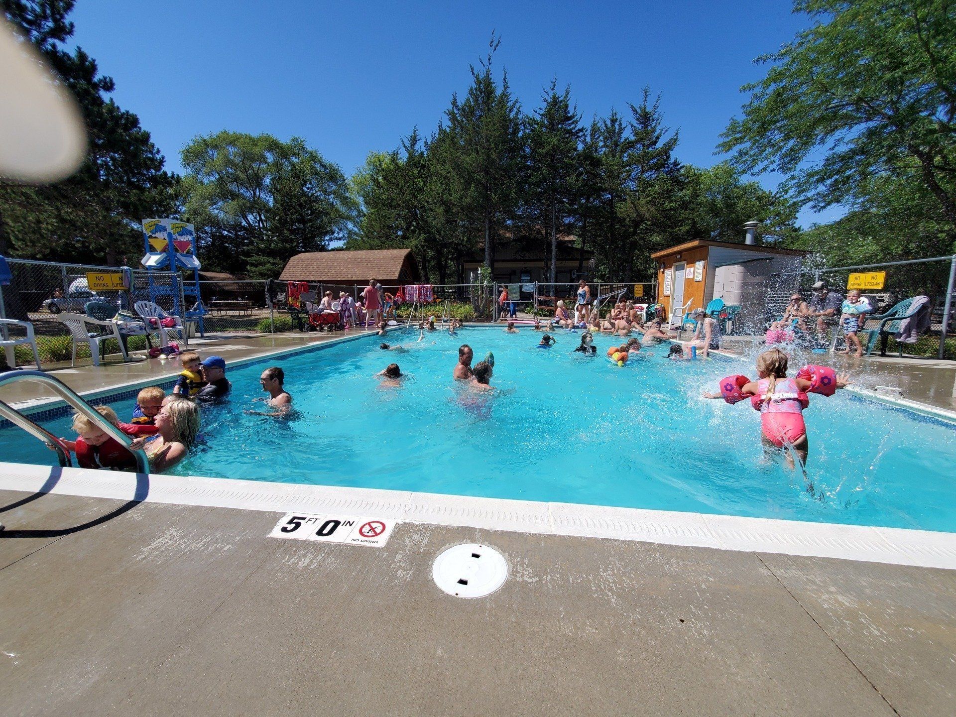 A group of people are swimming in a large swimming pool.