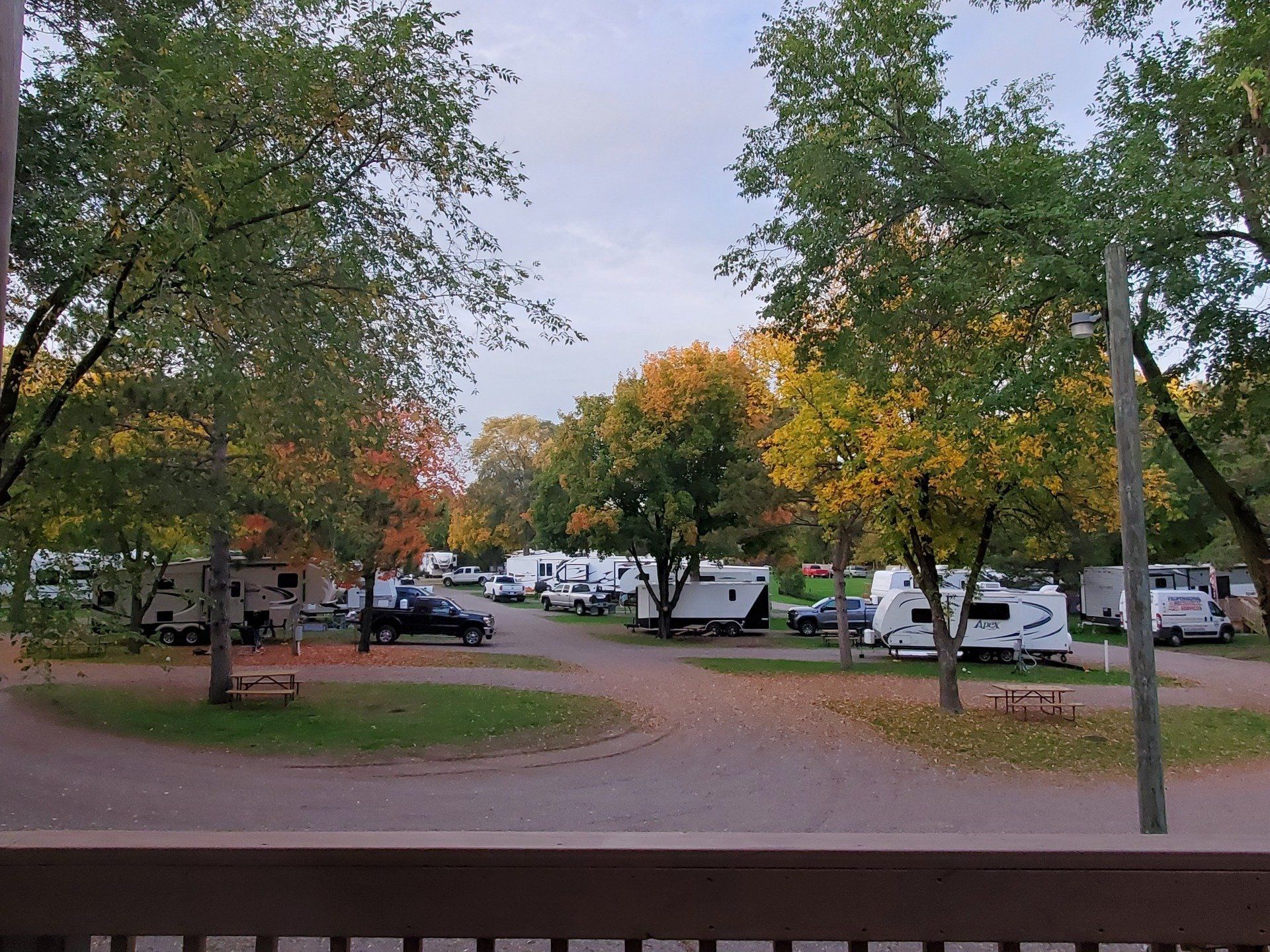 A lot of rv 's are parked in a campground surrounded by trees.
