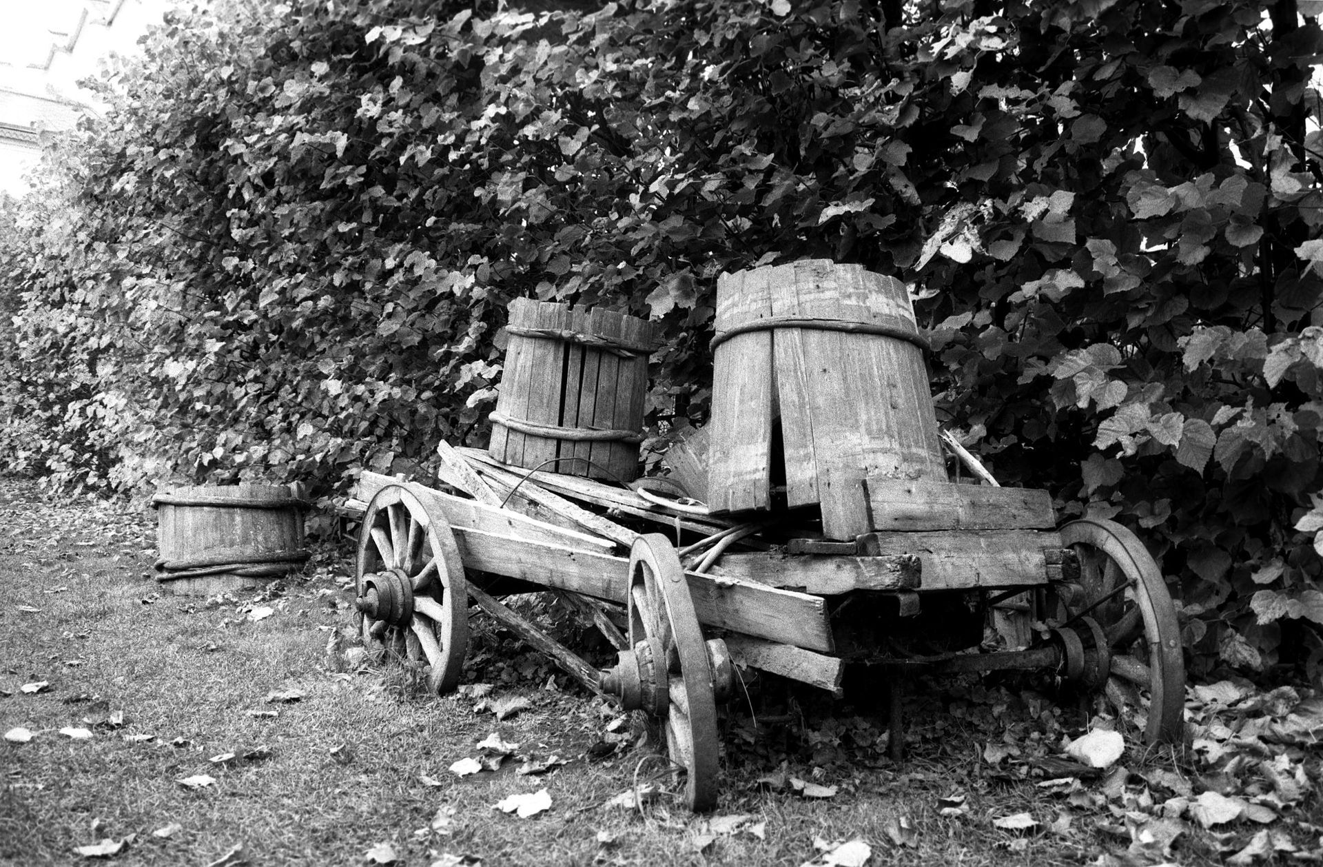 old wagon with two broken barrels on it