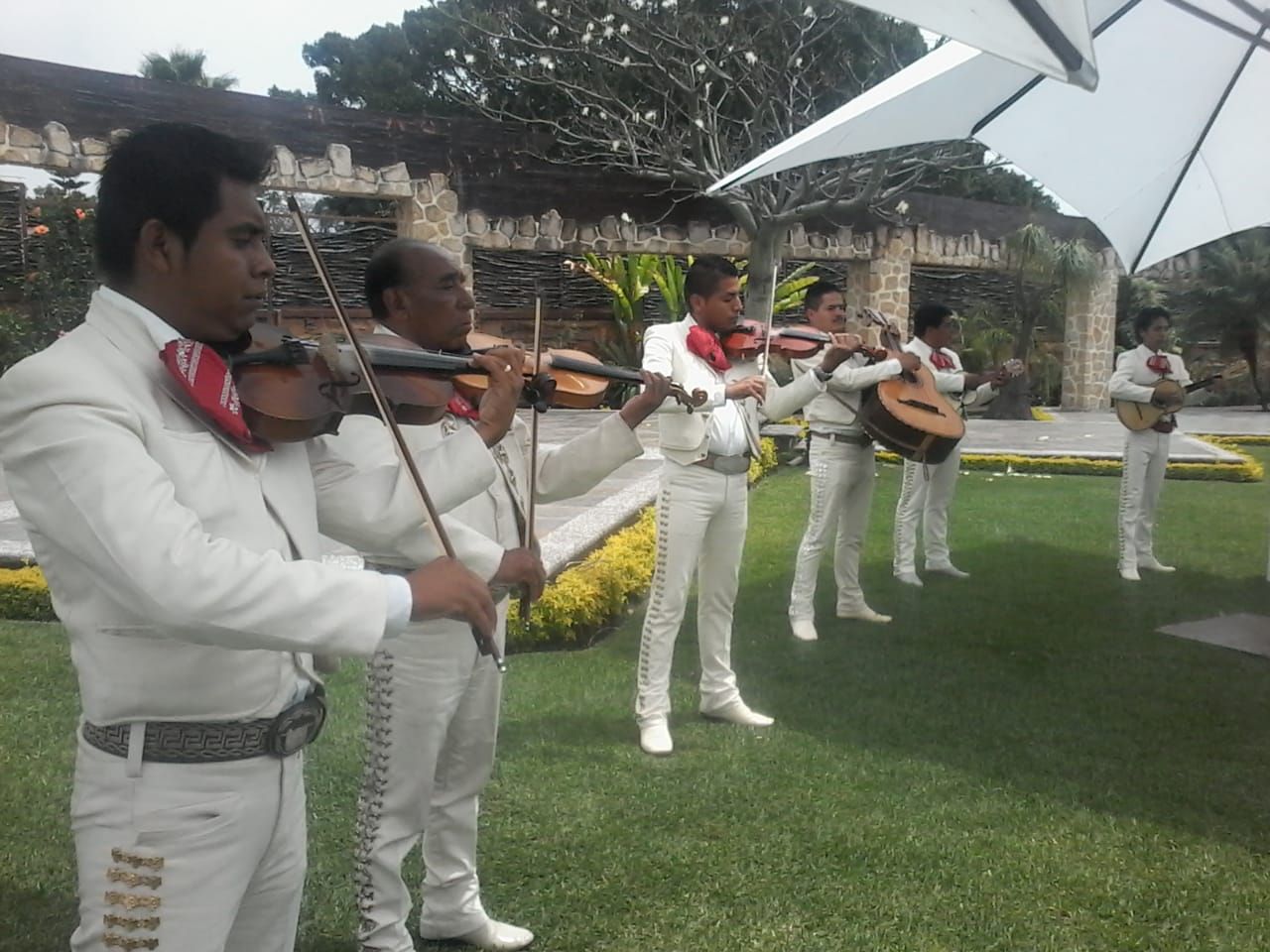  MARIACHI ÁNGELES DE PLATA