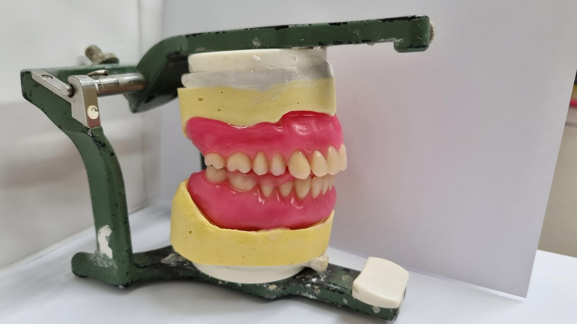 Dental Model