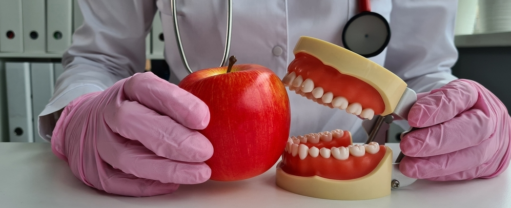 Dentist holding a red apple beside a set of dental teeth models in a clinic setting