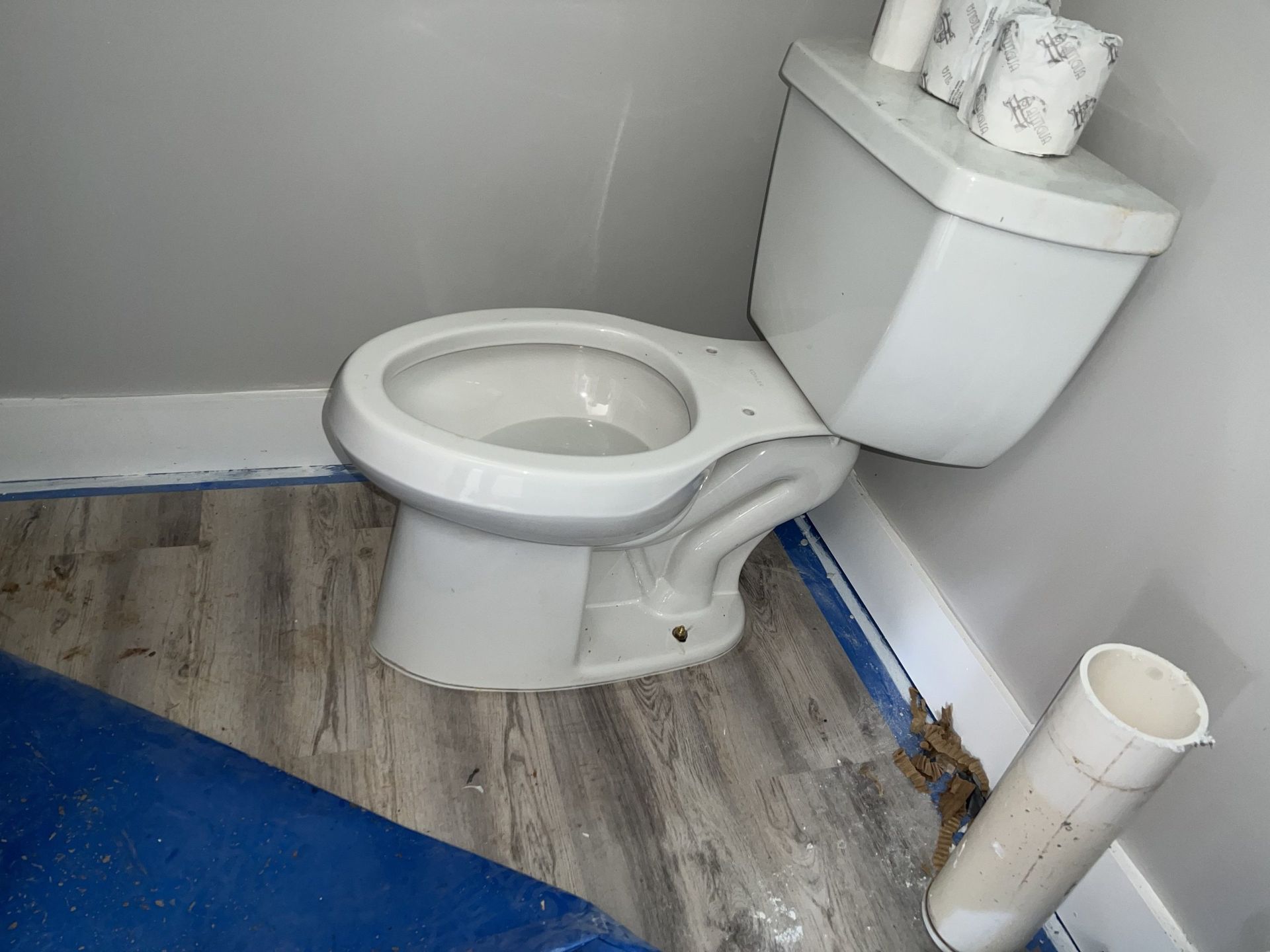 A white toilet in a corner of a room with gray walls and blue flooring. Toilet paper sits on the tank.