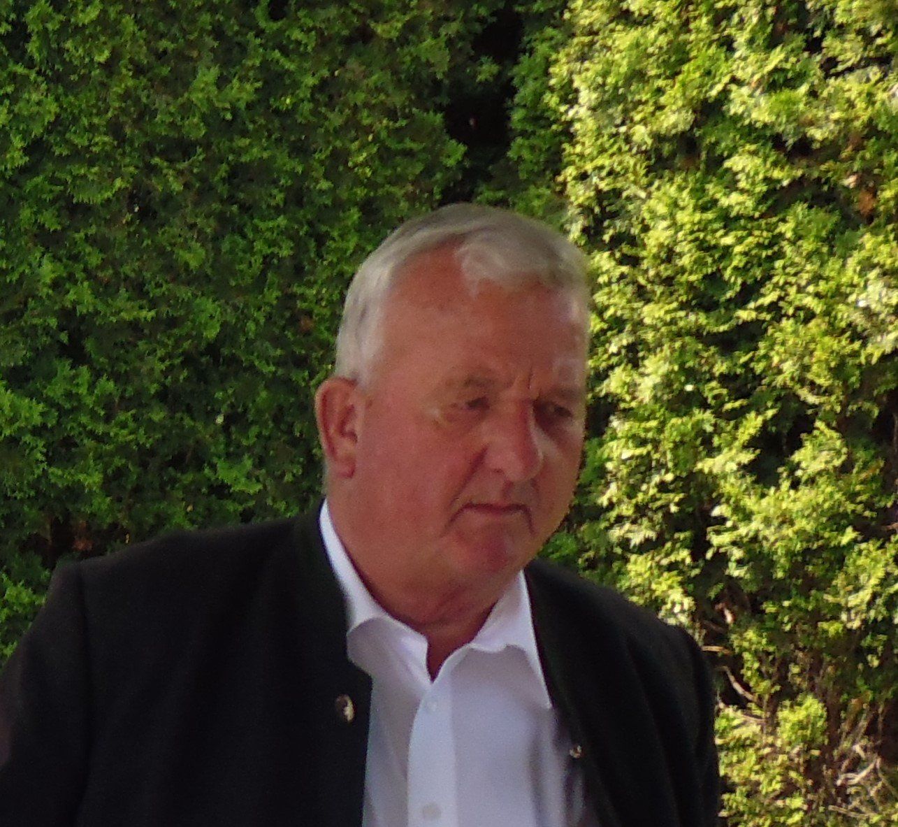 Ein Mann in Anzug und weißem Hemd steht vor Bäumen.
