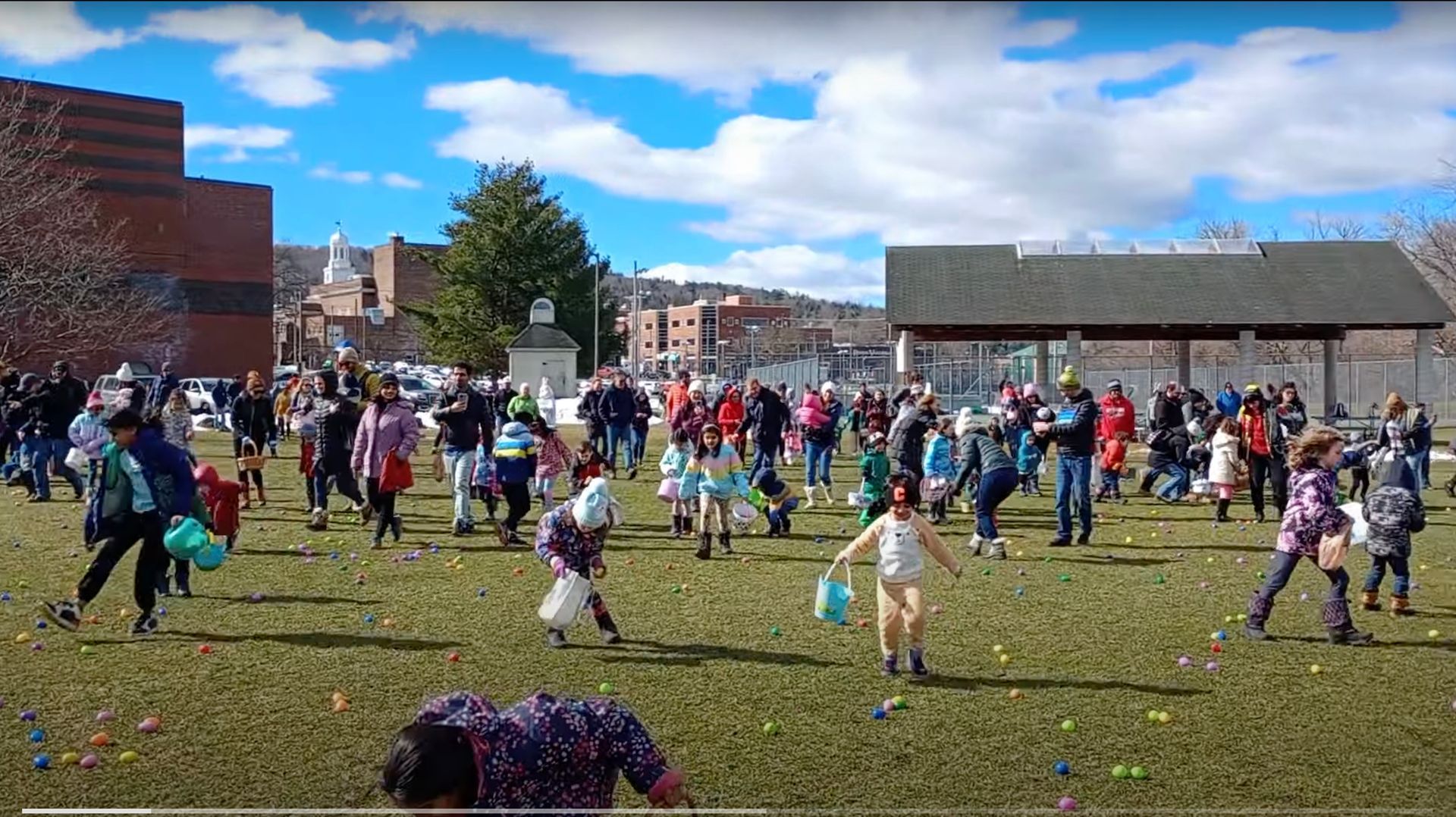 Large group of people searching for Easter eggs in a grassy field on a sunny day.