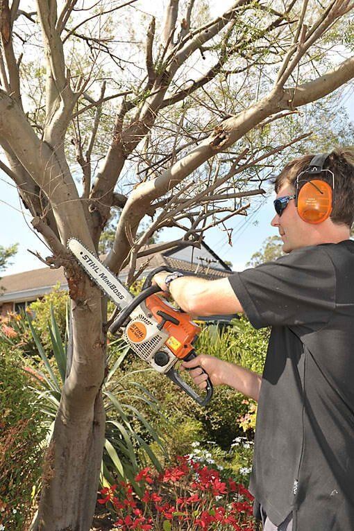 Tree Pruning — Home Modification Services In Byron Bay, NSW