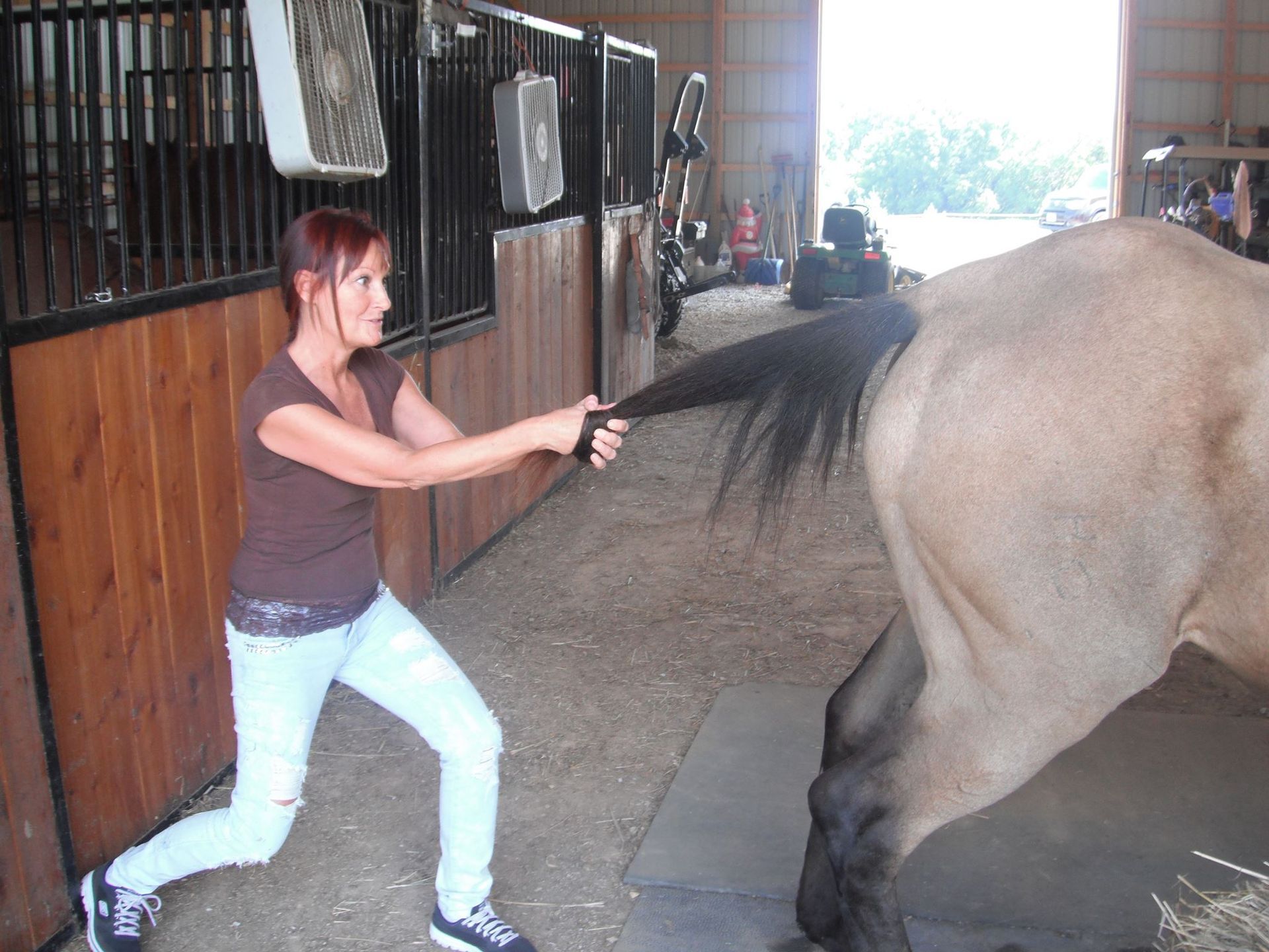 Animal Chiropractic Care Boynton Beach, FL BF Pet