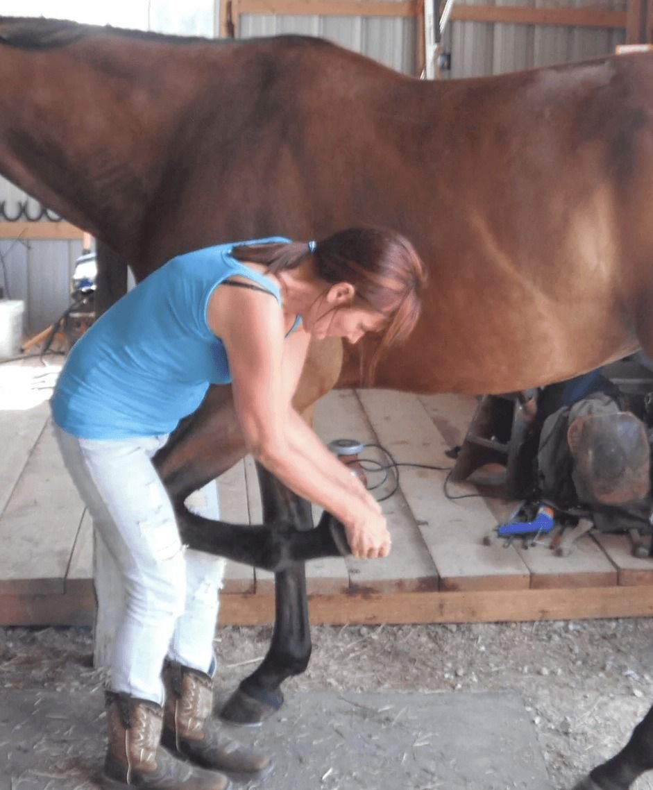 Animal Chiropractic Care Boynton Beach, FL BF Pet