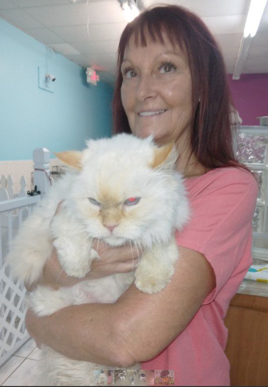 Pet Grooming Services Boynton Beach, FL Best Friends Pet