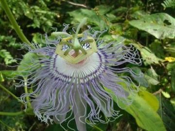 White church steeple against a blue sky beside a quiet road and leafless trees