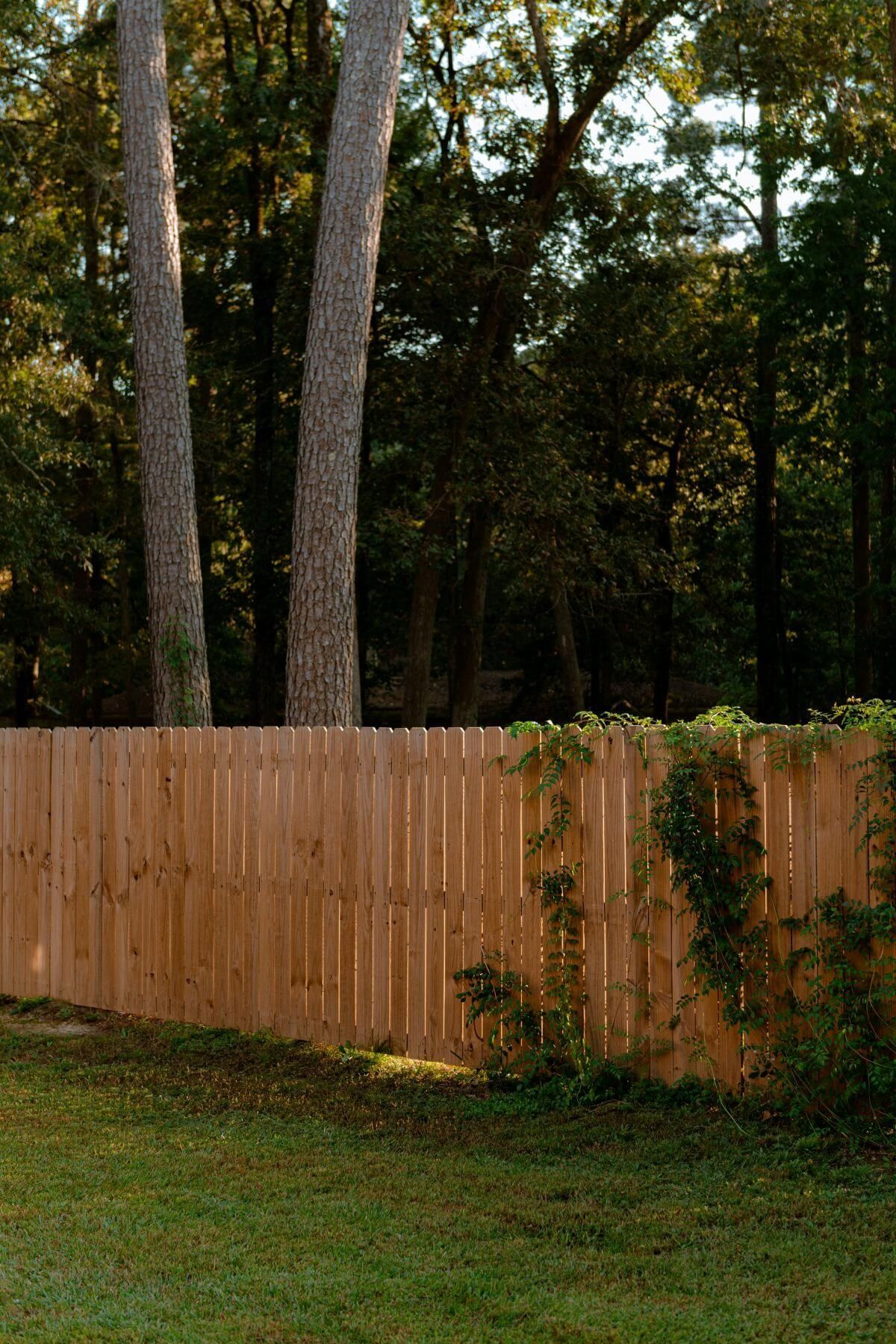 Vinyl Privacy Fence installed at a residential property in Casa Grande