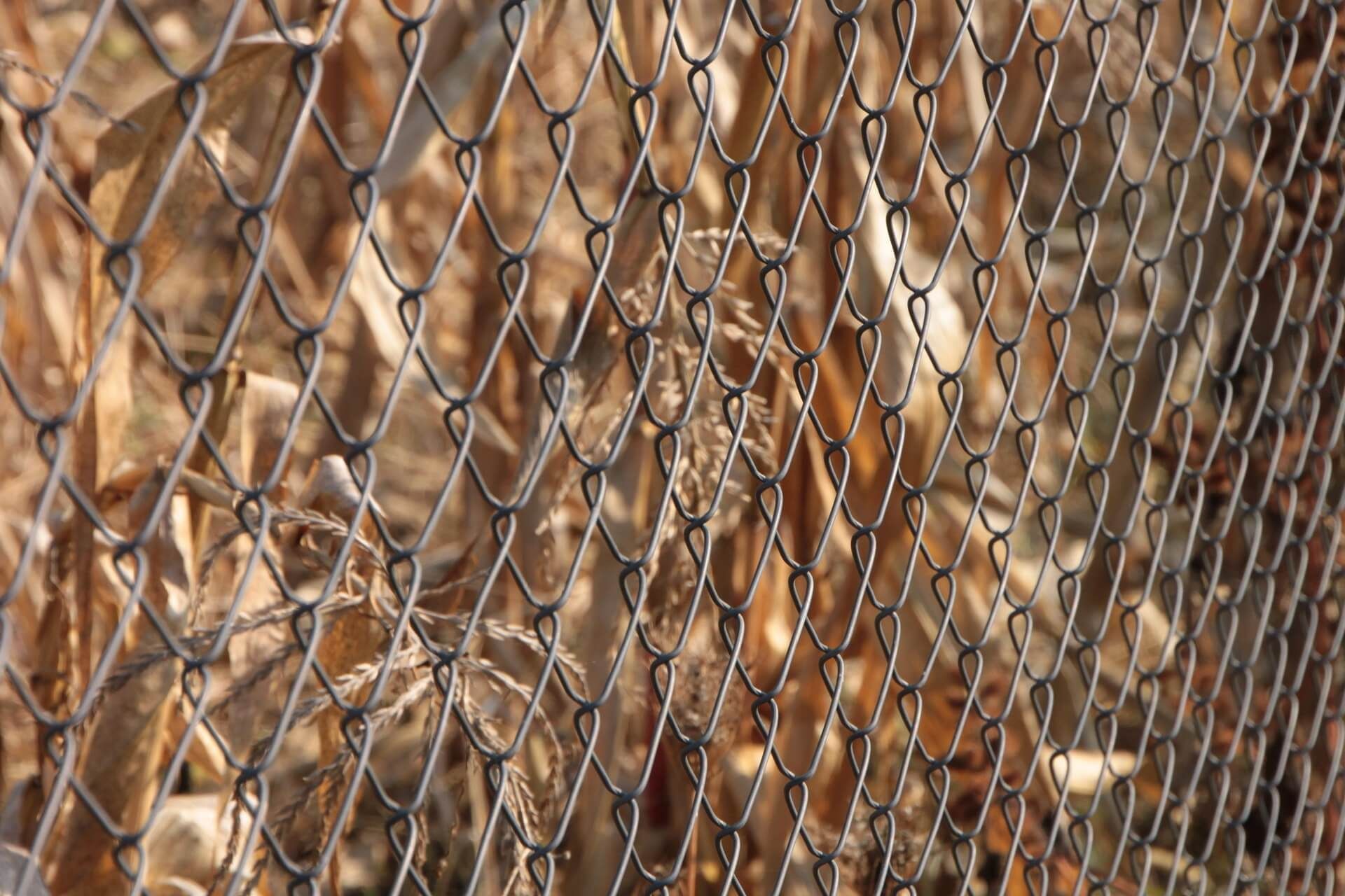 Chain Link Fence Close up in Casa Grande