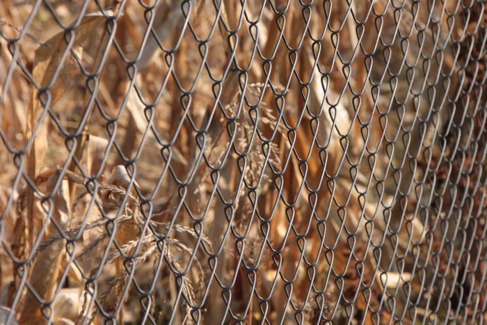 Chain Link Fence Close up in Casa Grande