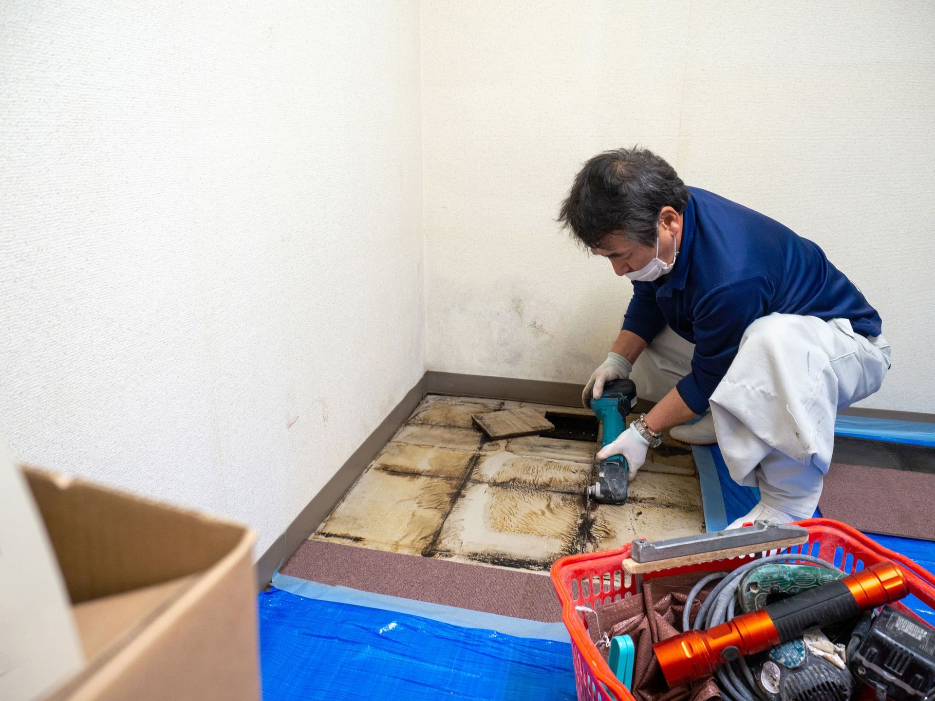 Man Removing Mold | Mobile, AL | VetCor Services