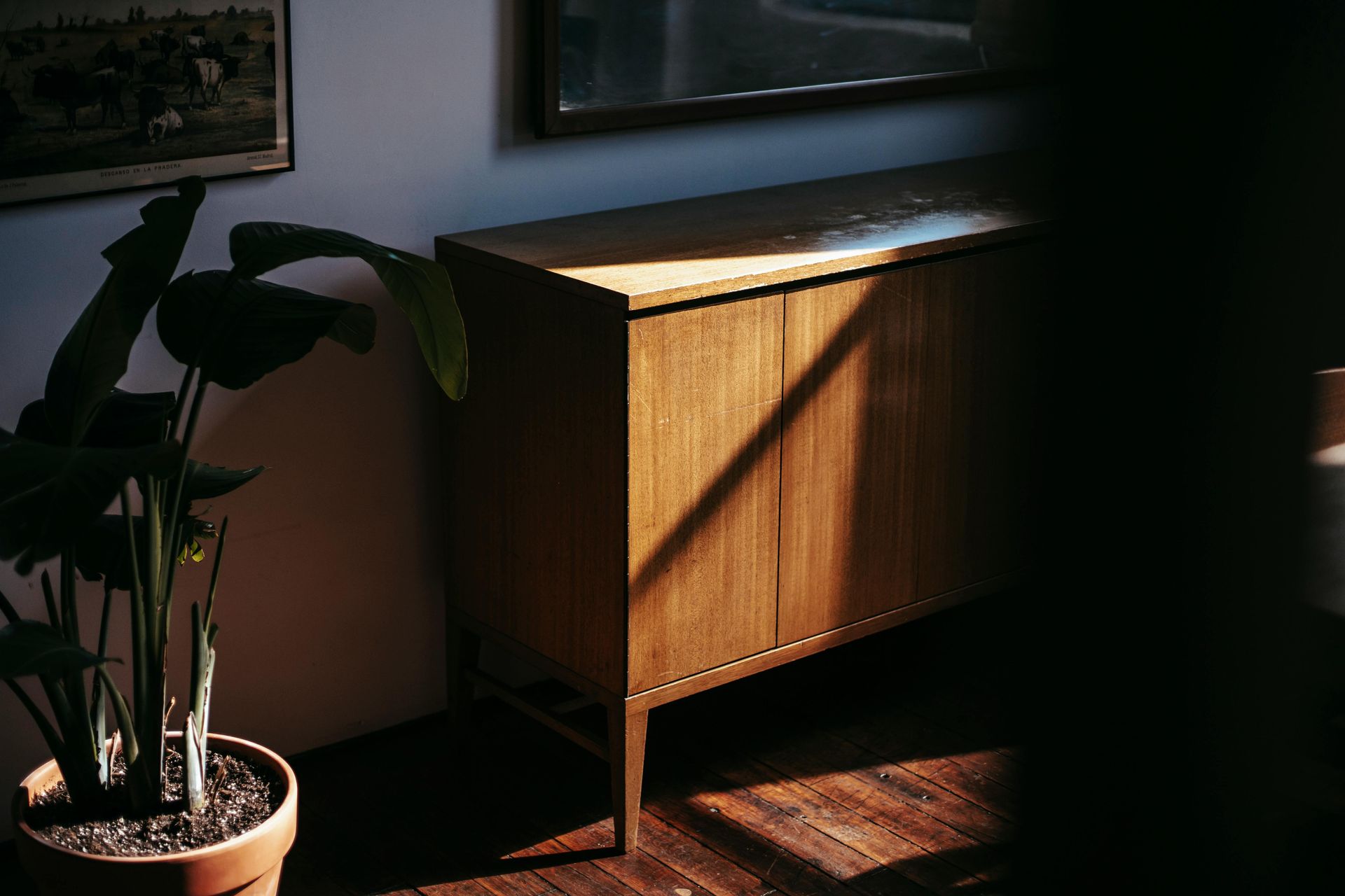 Wooden cabinet in sunlight, with plant in a terracotta pot and a framed picture on the wall.