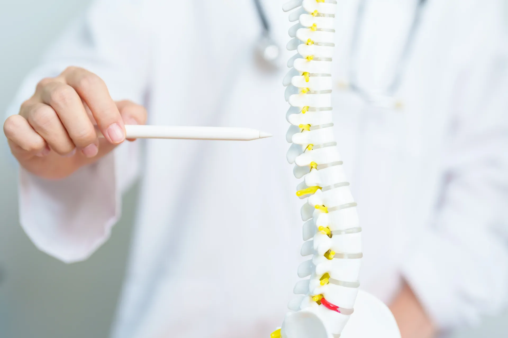 Doctor Pointing at a Spine Model With a Pen — Spinal Decompression Sunshine Coast In Mooloolaba, QLD
