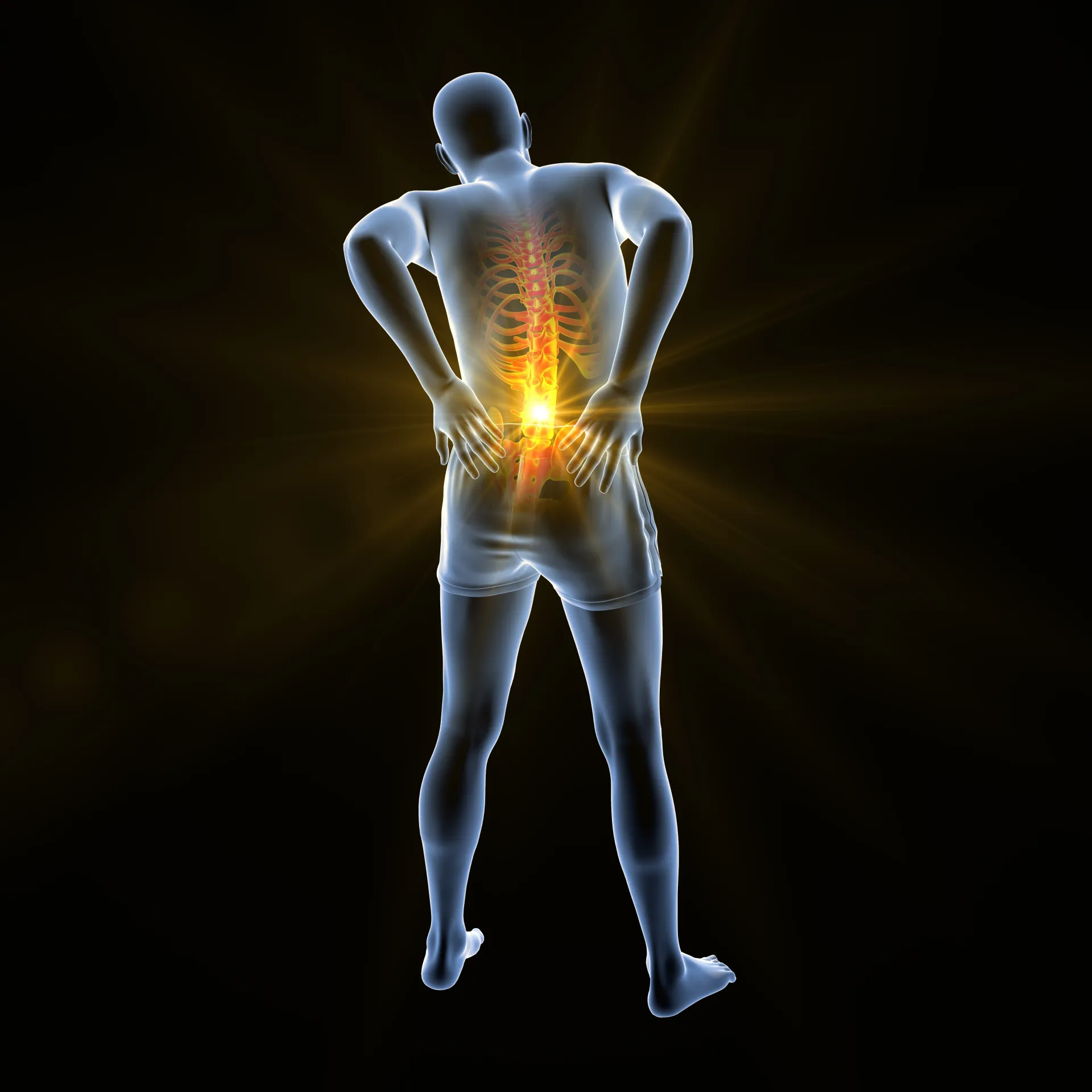 Transparent Figure With Glowing Spine and Lower Back — Spinal Decompression Sunshine Coast In Mooloolaba, QLD