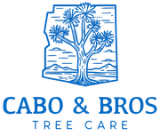 Blue logo with a Joshua tree inside a stylized Southwest landscape, with "CABO & BROS TREE CARE" below.