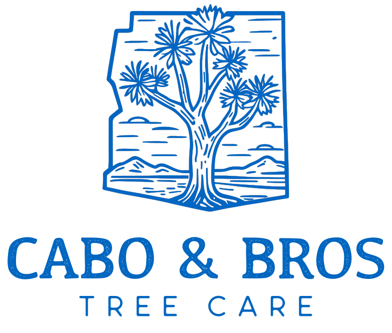 Blue logo with a Joshua tree inside a stylized Southwest landscape, with "CABO & BROS TREE CARE" below.