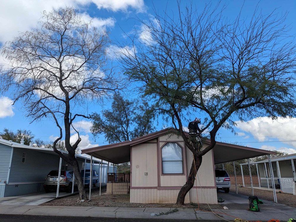 Mobile home with trees; person on roof. Blue sky with clouds.