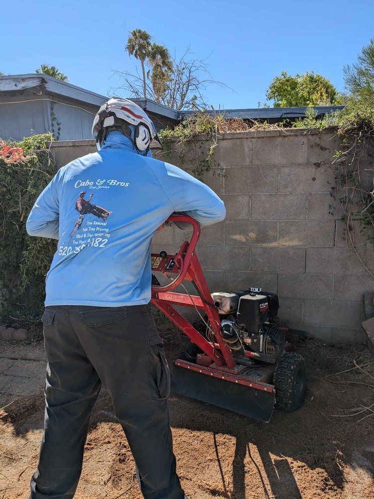 Person operating a red stump grinder next to a concrete wall on a sunny day.