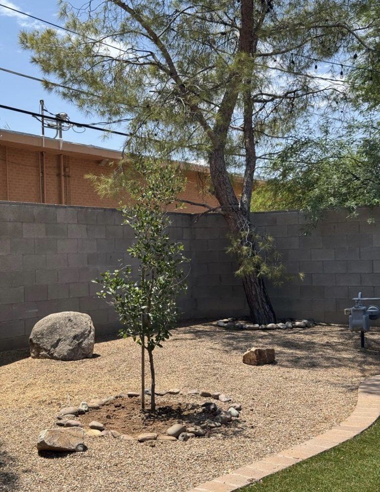 Backyard with small tree surrounded by rocks, large tree leaning on a wall, and rock landscaping.