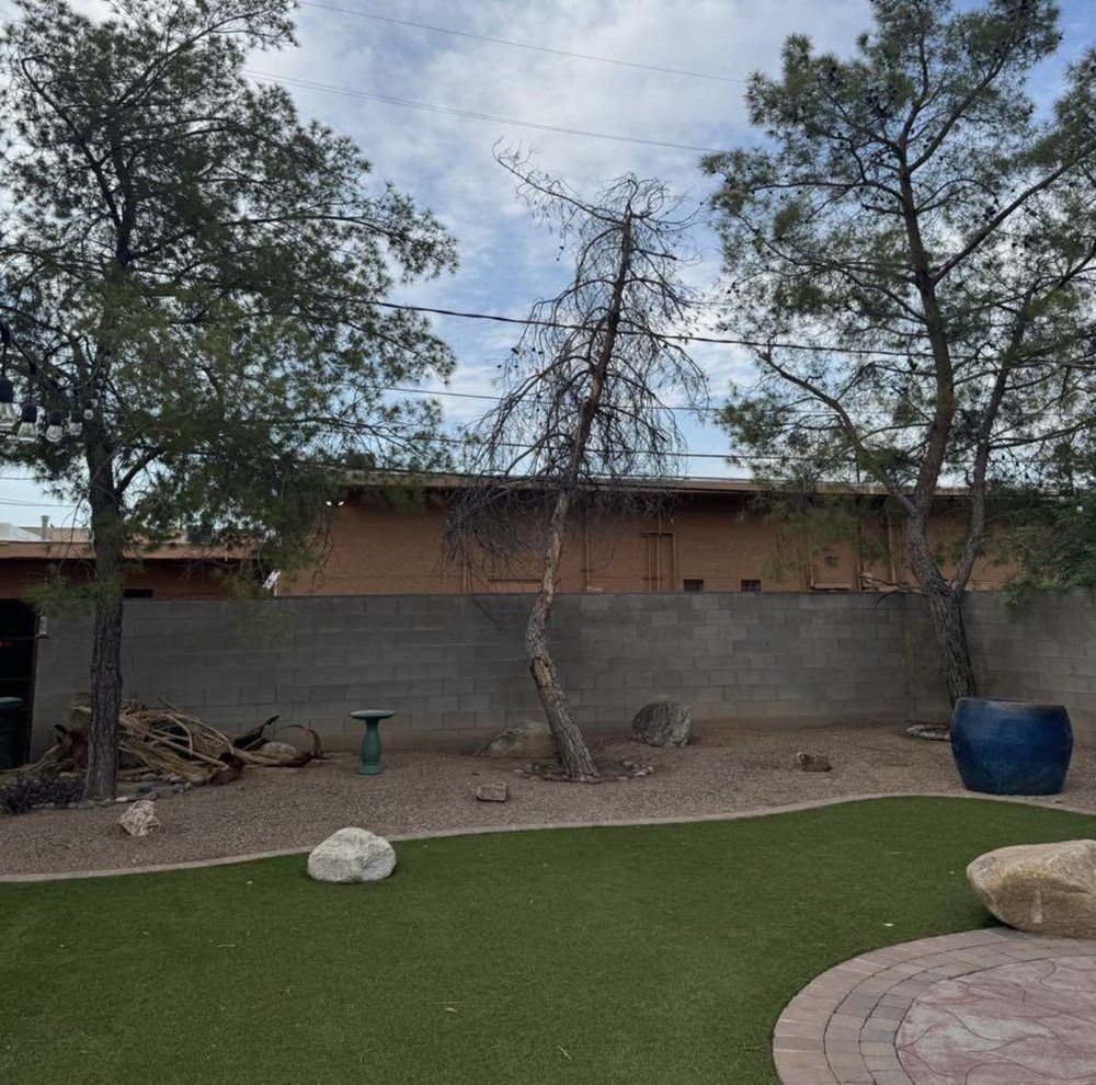 Backyard with green grass, trees, and a grey wall behind a stone ground.