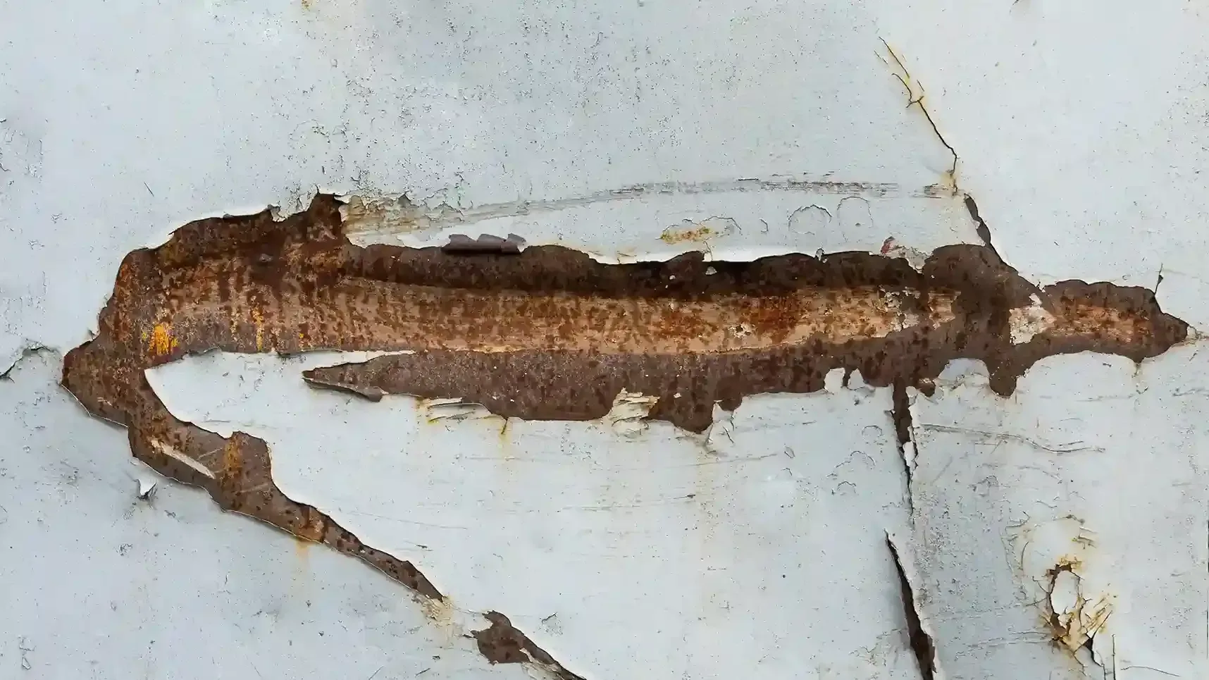 Person in dark blue uniform holds clipboard, smiles, against a gray background.