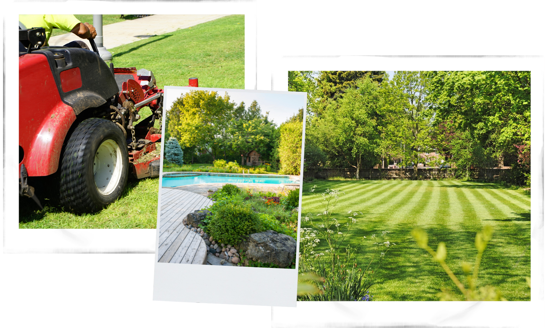 Three pictures of a lush green lawn with a house in the background.
