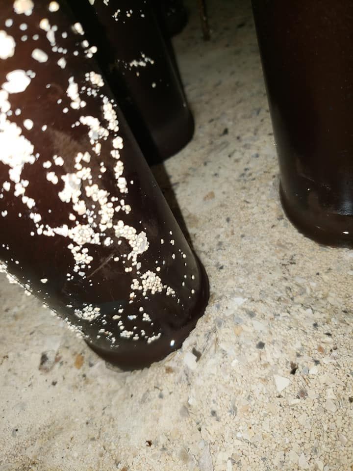 A close up of a bottle with white spots on it