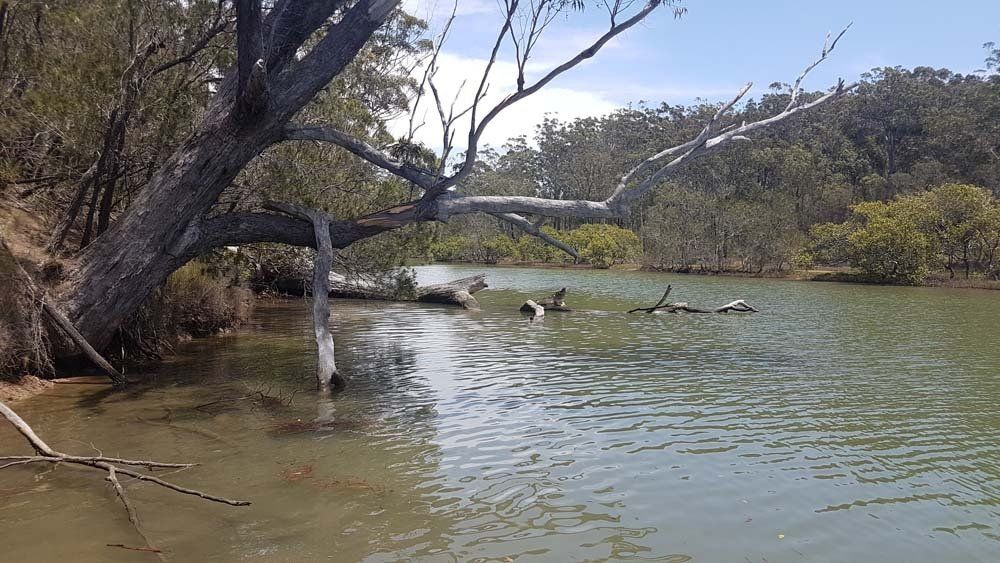 MACRO Consulting Surveyors - img15