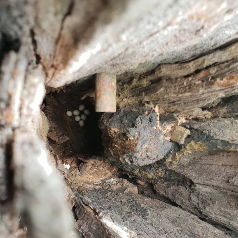 MACRO Consulting Surveyors - img28