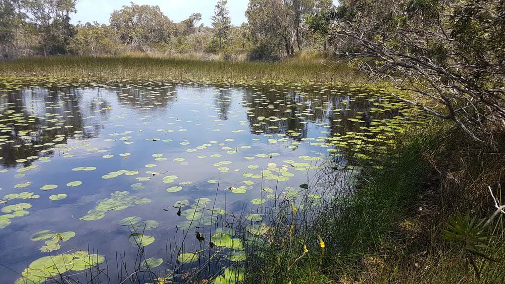 MACRO Consulting Surveyors - img18