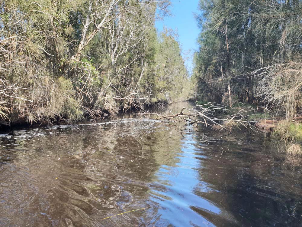 MACRO Consulting Surveyors - img33