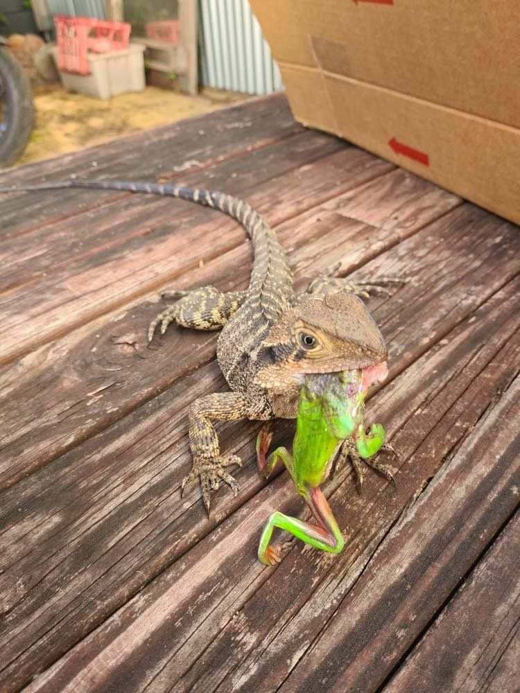 MACRO Consulting Surveyors - img36