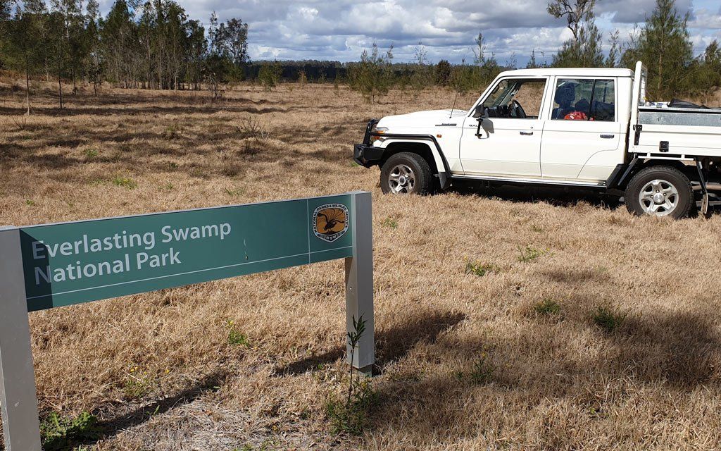 NPWS - Everlasting Swamp
