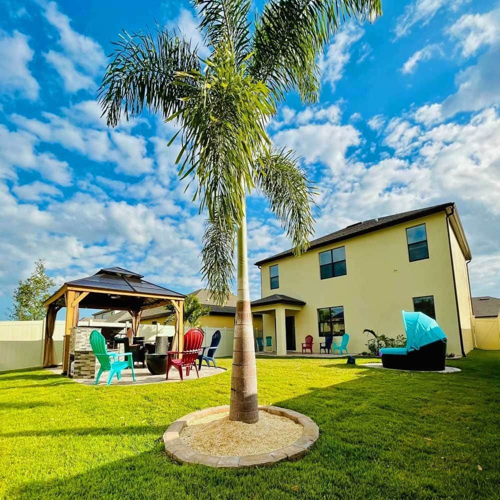 A palm tree is in the middle of a lush green lawn in front of a house.