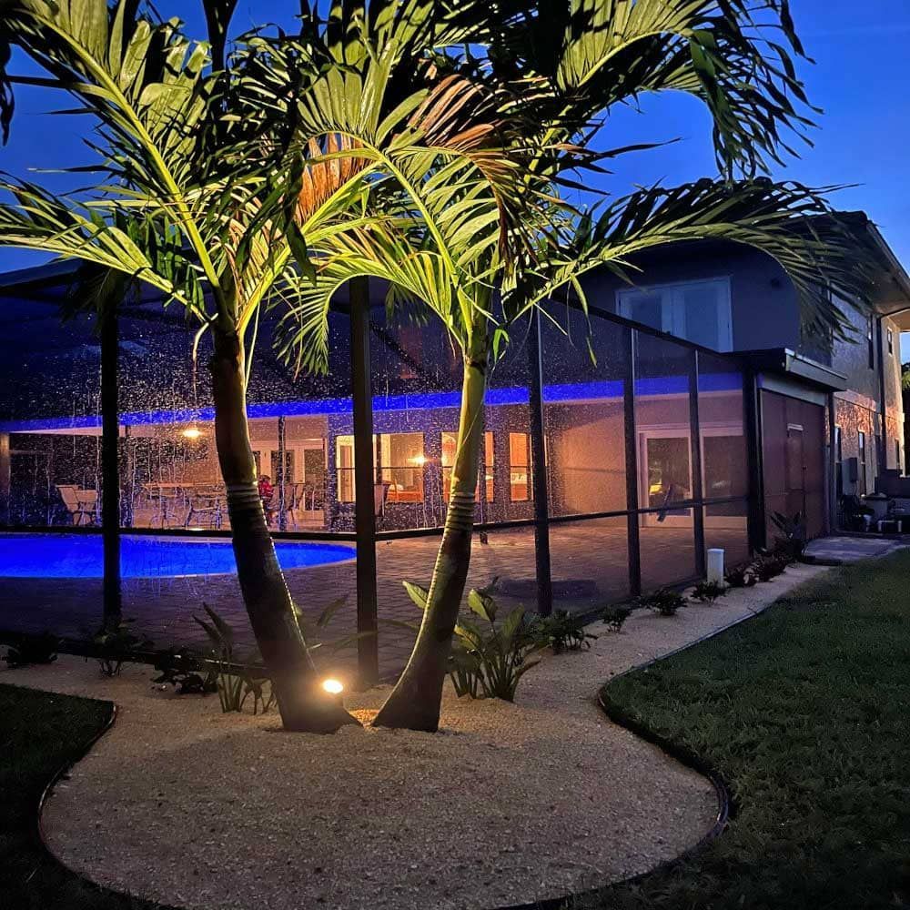 A palm tree is lit up in front of a screened in pool.