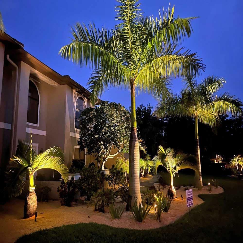 Palm trees are lit up in front of a house at night