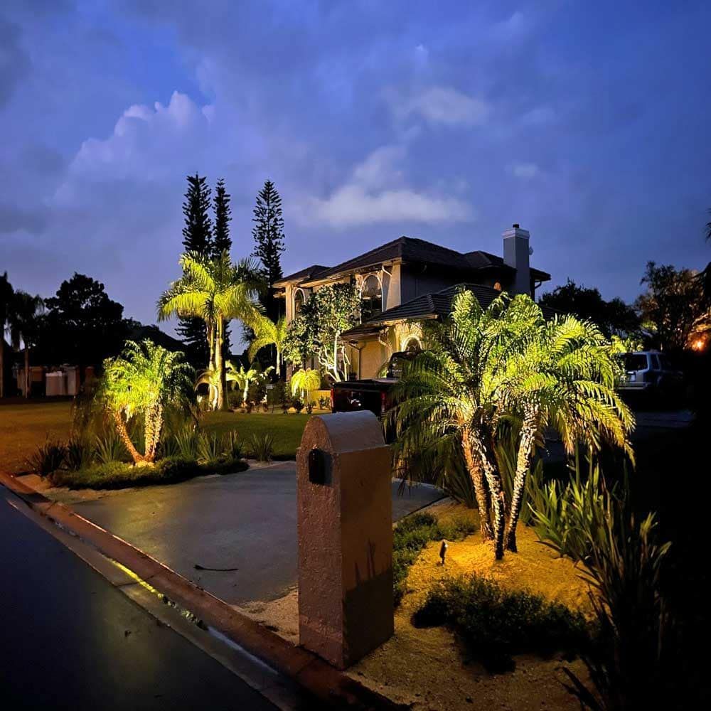A lighted house with palm trees in front of it at night